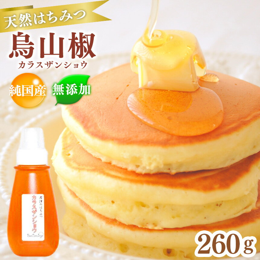 【ふるさと納税】 純国産 はちみつ 烏山椒 (からすざんしょう) 260g | 無添加 ハチミツ 蜂蜜 チューブ入り 送料無料 Bee concierge ビーコンシェルジュ 齊藤兄弟 イチオシ 君津市 きみつ 千葉県