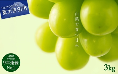 シャインマスカット 【2026年発送 先行予約】山梨県産シャインマスカット3kg フルーツ