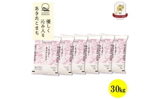＜毎月定期便＞秋田県産あきたこまち無洗米30kg(5kg×6)全12回【4072902】