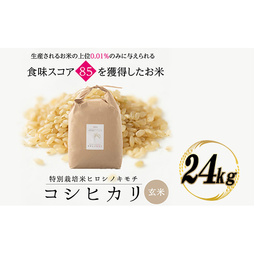 特別栽培米 コシヒカリ ヒロシノキモチ 玄米 24kg ブランド米 銘柄米 国産 米 お米 日本米 ギフト 贈り物 備蓄 防災 食品 陽咲玲 はるざれ F6T-1014