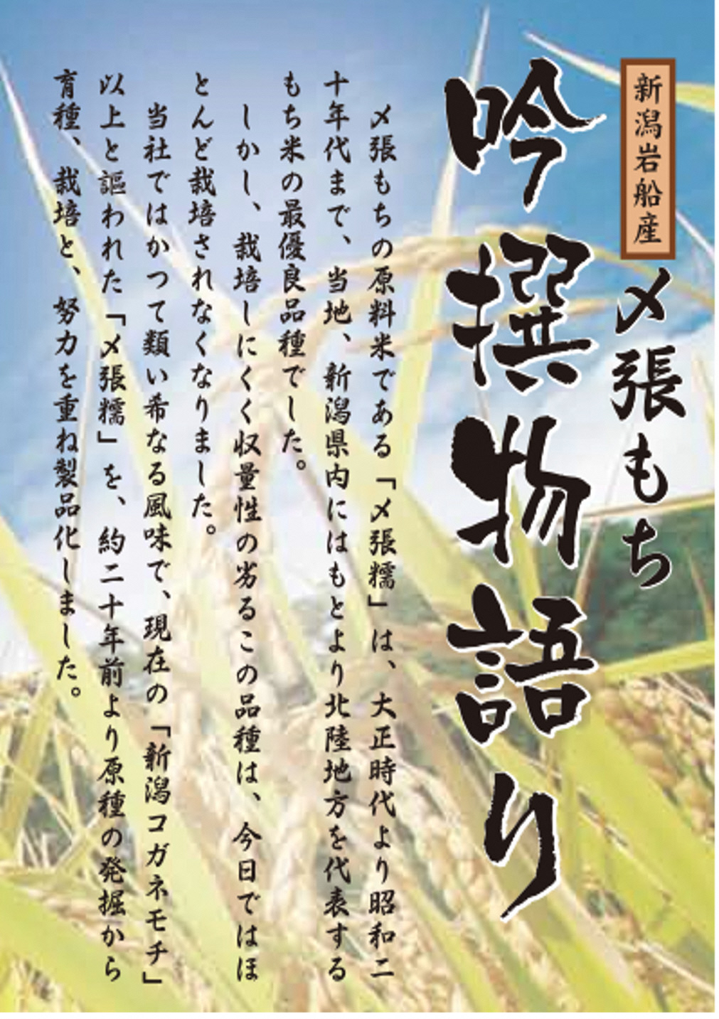 【新米受付・令和6年産米】NB4044 自然豊かな風土が育んだ新潟県岩船産コシヒカリ5kgと杵つき黄金もちセット