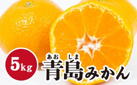 みかん【先行受付】【2027年1月末以降発送】 濃厚な甘さが特徴！青島みかん ＜約5kg＞ 広島 三原 佐木島 鷺島みかんじま 017054