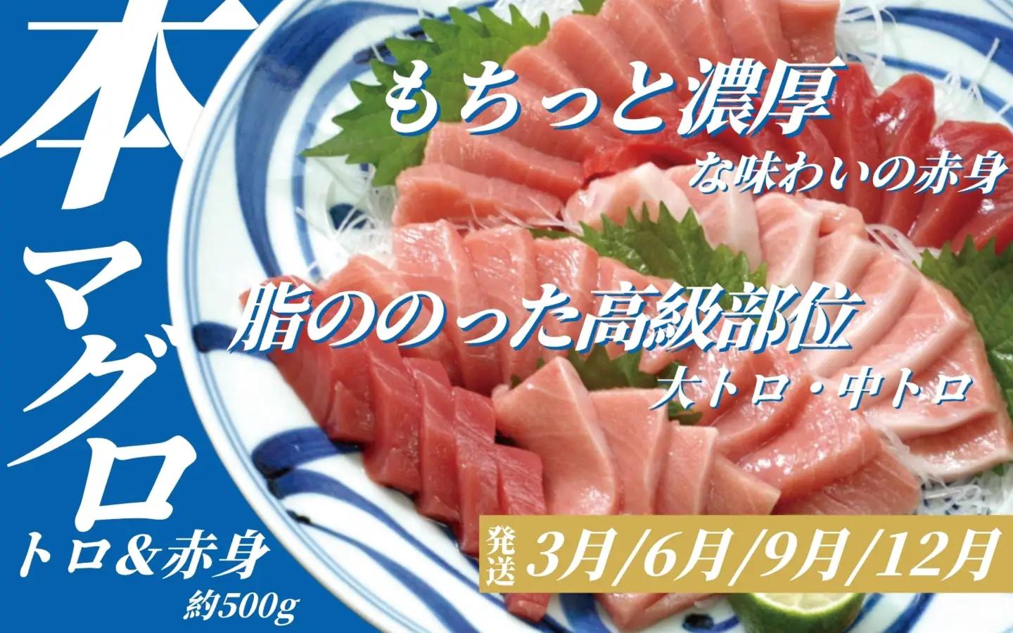 定期便【全3回/毎月お届け】海の幸定期便 / 海鮮【tkb607】