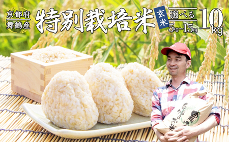 【令和7年度産 新米】 棚田米 玄米 10kg コシヒカリ  特別栽培米 7割削減 こしひかり お米