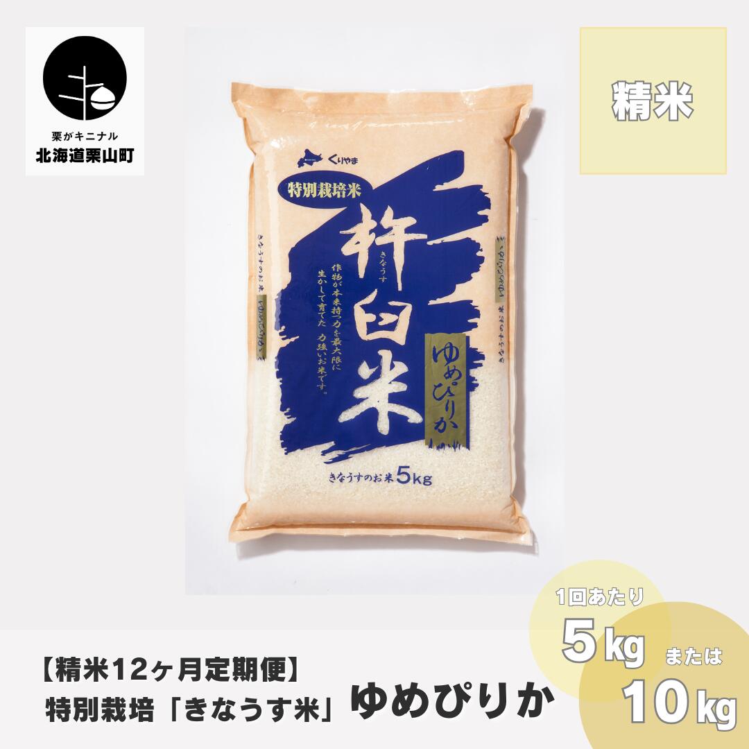 【ふるさと納税】【精米12ヶ月定期便】特別栽培「きなうす米」ゆめぴりか《5kg×12回・10kg×12回》