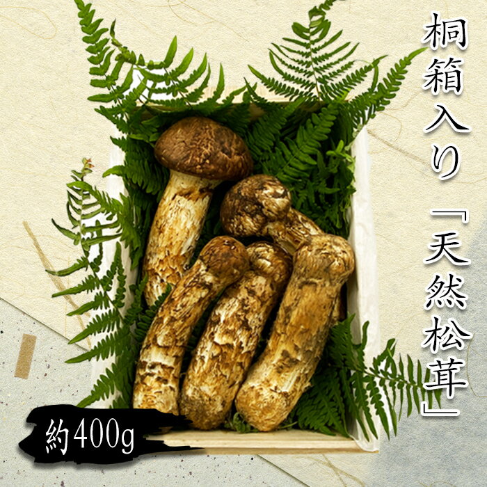 【ふるさと納税】【2026年発送】山形県産「天然松茸（まつたけ）」約400g(桐箱入)_H086(R8)