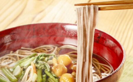 【レンジで時短！】出雲そばと釜揚げうどんセット 各5食つゆ付 本格的 簡単調理 忙しい人向け ギフト 島根県雲南市/有限会社本田商店[AIDS006]