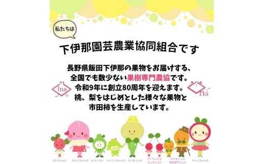南信州産「桃」あかつき/なつっこ 約5kg 8～12玉 品種おまかせ＜2027年7月下旬より発送＞