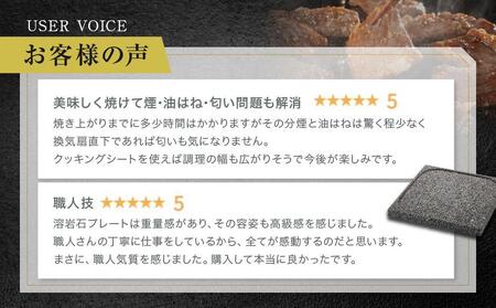 【12月配送】【飛騨溶岩プレート】美味焼【彩】| 年内発送 肉や野菜が美味しく焼ける！ご家庭での焼肉に最適！ プレート アウトドア バーベキュー 砂原石材 BE005VC12