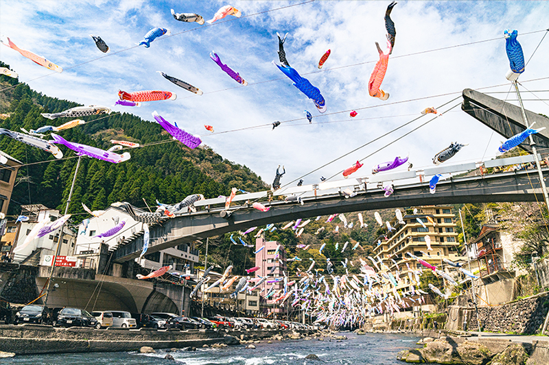 【令和8年度受付】名入れ鯉のぼり掲揚権（杖立温泉鯉のぼり祭）