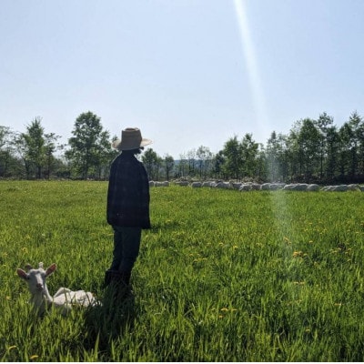 香林農園ナチュラルチーズ 山羊と牛のチーズセット 北海道 日高山脈の小さなチーズ農家【配送不可地域:離島】