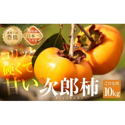 ふるさと納税 豊橋市 豊橋石巻産次郎柿(ご自宅用不揃い)10kg(30〜50玉)