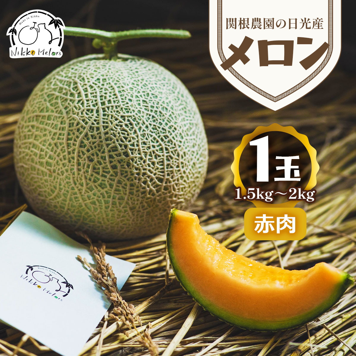 関根農園の日光産「赤肉メロン」1玉【2026年9月初旬より順次発送】｜先行予約 メロン 果物 くだもの フルーツ スイーツ 赤肉 日光市産 栃木県産 国産 [0850]