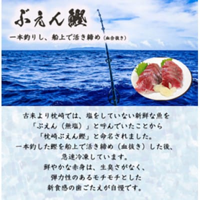 【父の日】枕崎産 一本釣り ぶえん鰹刺身・たたき・戻り鰹【タレ付】 A3-301F【配送不可地域：離島】