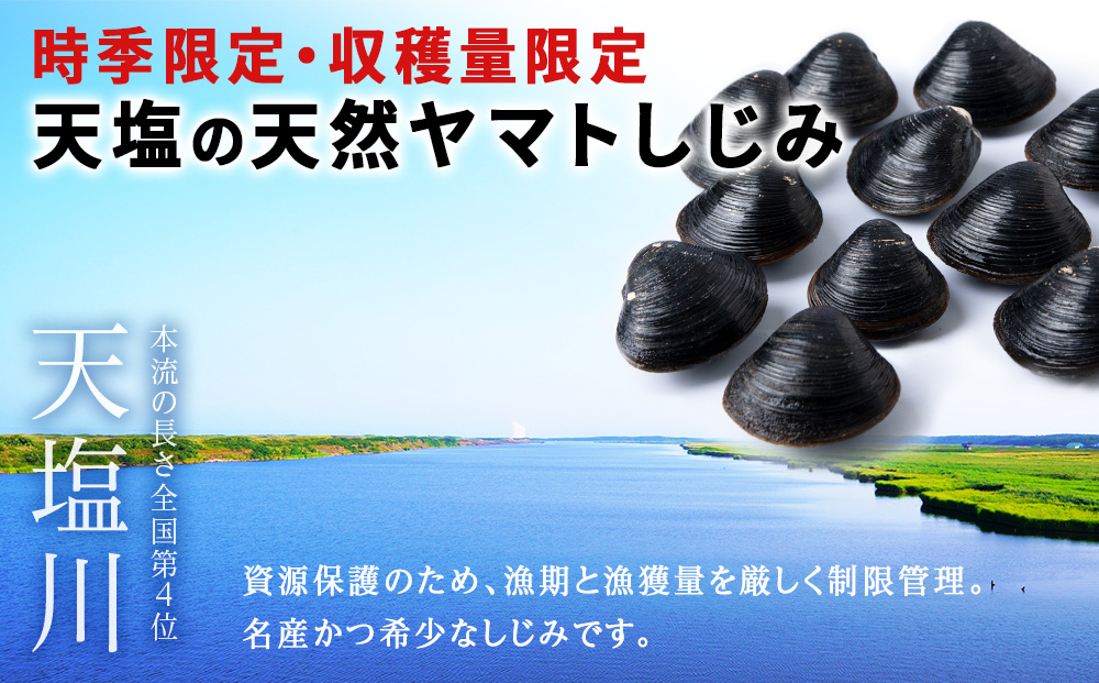 天塩しじみラーメン 15食セット＜北るもい漁業協同組合 天塩支所＞