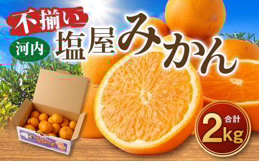 ＜2025年11月発送予定＞【不揃い】選べる 河内 塩屋みかん 2kg 早生みかん 熊本 国産 みかん 蜜柑 ミカン 果物 くだもの フルーツ
