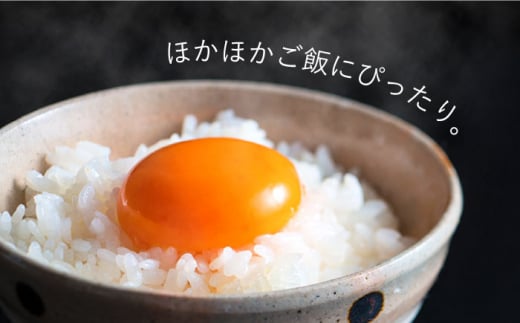 平飼い もみじ の 高級 たまご 新鮮 産みたて卵 20個【野中鶏卵】[OAC014] / 卵 長持ち 濃厚 玉子 濃厚 卵料理 タマゴ 鶏卵 オムレツ 卵かけご飯 卵焼き