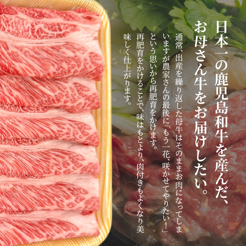 奄美マザービーフ　肩ローススライス - 牛肉 奄美マザービーフ 肩ロース スライス 鹿児島黒牛 マザービーフ すき焼き しゃぶしゃぶ 国産 内閣総理大臣賞受賞 お取り寄せグルメ-1001