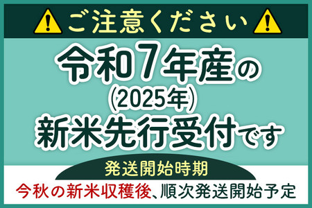《新米先行受付》《定期便9ヶ月》【無洗米】あきたこまち 20kg 秋田県産 令和7年産  こまちライン