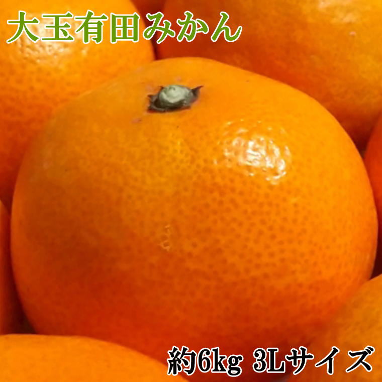 【ふるさと納税】 [秀品]和歌山有田みかん 6kg(3Lサイズ) ※2026年11月中旬〜2027年1月中旬頃順次発送予定（お届け日指定不可）