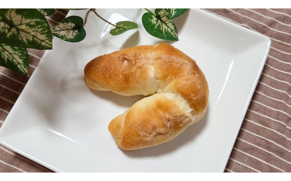 1176.【定期便3ヶ月】山塩香る人気パン 氣愛の塩パン 5個×3回 313726_BD057