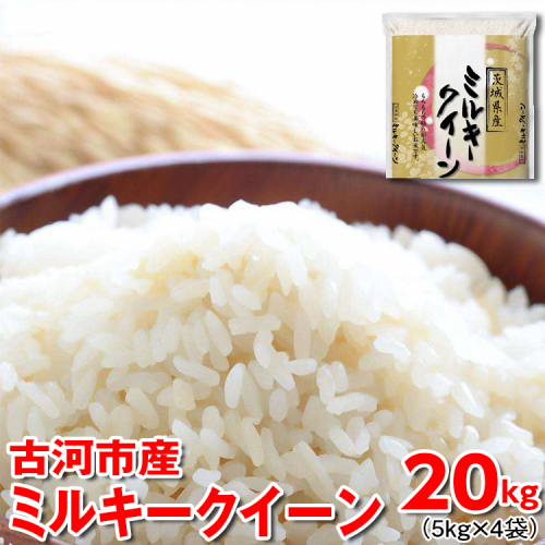 【新米】令和7年産 古河市産 ミルキークイーン 20kg（5kg×4袋） | 米 こめ コメ 20キロ ミルキークイーン みるきーくいーん 古河市産 茨城県産 贈答 贈り物 プレゼント 茨城県 古河市 直送 産地直送 送料無料 ※2025年9月中旬頃より順次発送予定 _DP25