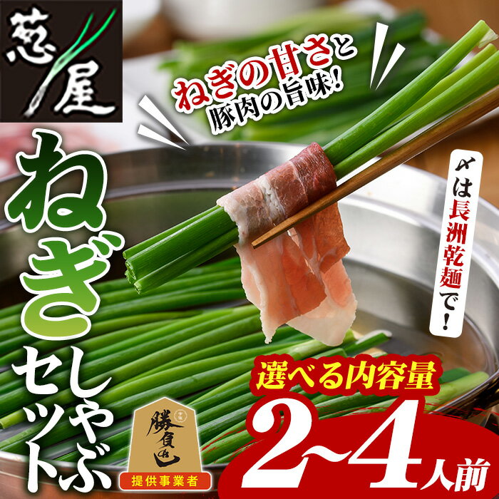 【ふるさと納税】＜内容量が選べる！＞鉄板バル葱屋の ねぎしゃぶセット(2〜4人前)ねぎしゃぶ しゃぶしゃぶ 豚肉 ぶた肉 ぶたにく お肉 鍋セット 乾麺 出汁 だし ポン酢 勝負めし 【110700500・110700800】【葱屋おおくぼ】