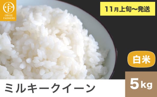 ミルキークイーン 白米 約5kg ［ おぶせファーマーズ ］お米 コメ おこめ ご飯 精米 長野県産 【2025年11月上旬～発送】 [FK-23] 