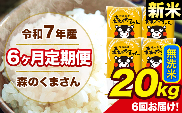 新米 米 令和7年産 森のくまさん【6ヶ月定期便】無洗米 20kg 5kg×4袋 計6回お届け 《1月から出荷開始》 お米 こめ 熊本県産 ご飯 備蓄