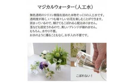 【ホットピンク】 マジカルウォーター ｢ ガーベラ スクエア ｣