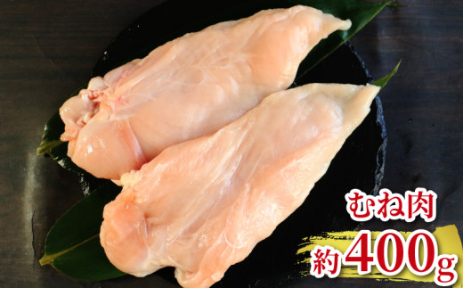 地鶏 愛媛 媛っこ地鶏 もも むね ささみセット 約1kg 鶏肉 鳥肉 肉 チキン むね肉 もも肉  焼肉 焼き鳥  BBQ 冷凍 国産 高級 タンパク質 低脂肪 糖質 唐揚げ チキン南蛮 サラダチキ