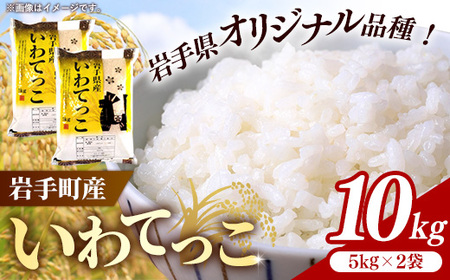 令和7年産 お米 精米 いわてっこ 10kg ブランド米 岩手町産