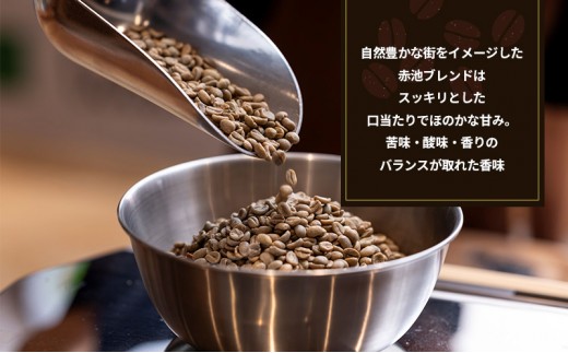 定期便6回【YANAKA COFFEE】赤池ブレンド500ｇコーヒー豆（粉-中挽き） 珈琲 コーヒー 粉 自家焙煎 オリジナルブレンド ブラジル コロンビア エチオピア プライムツリー 赤池 限定 日