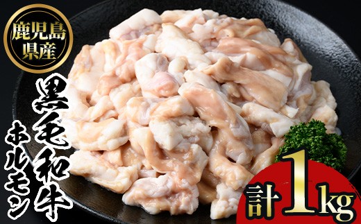 
                  No.1105 鹿児島黒毛和牛ホルモン(500g×2P・計1kg) 国産 九州産 鹿児島県産 牛肉 黒毛和牛 和牛 お肉 おかず 焼き肉 ホルモン 小腸 冷凍【NBフード】
                