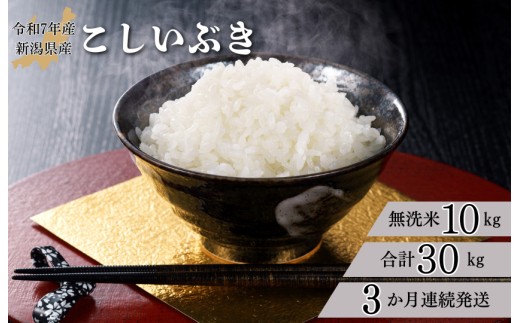 
                  【3か月定期便】R7年産 新潟県産 こしいぶき 10kg （無洗米）
                