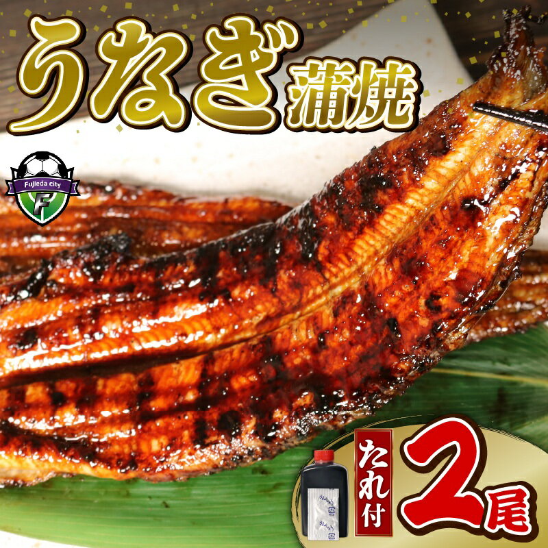 【ふるさと納税】 うなぎ 蒲焼 2尾 140g × 2 冷蔵 鰻 土用の丑の日 電子レンジ 調理 直火焼き 関西風 ウナギ 和風惣菜 おかず 晩ごはん 晩酌 贈り物 ギフト 夏バテ予防 スタミナ料理 タレ付き グルメ うな重 うな丼 藤枝市 静岡県