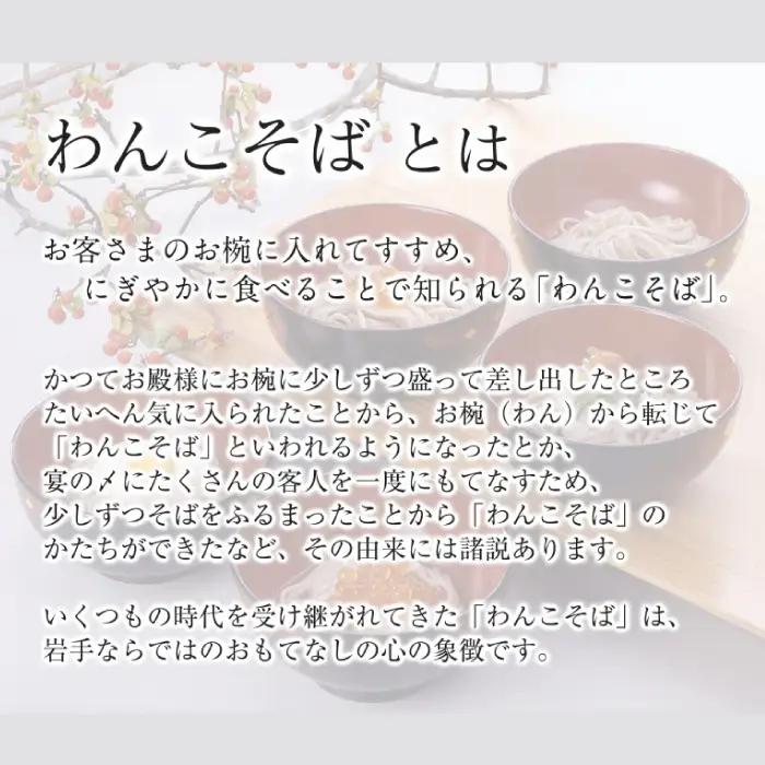 【北舘製麺】半なまわんこそば 10人前（KW-B） ／ 蕎麦 わんこそば そば つゆ付き めんつゆ そばつゆ お中元 お歳暮 お土産 おみやげ 手土産 贈り物 名物 ご当地グルメ 年越し おみやげ お