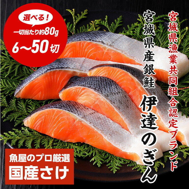 【ふるさと納税】【選べる容量】伊達の銀鮭モンゴル岩塩漬け 6切れ～50切入