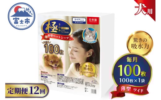 定期便 12回 ペットシーツ 【極】シリーズ 薄型ワイド 100枚 ペット用 犬用 猫用 トイレシーツ 日用品 ペット用品 防災 備蓄 消耗品 ドッグ キャット わんちゃん ねこちゃん 静岡県 富士市 [sf077-139]