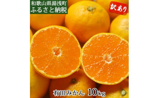 
                  【2026年先行予約】和歌山県産 有田みかん 約10kg 【訳あり 家庭用】 (サイズおまかせ)_DI6002n
                