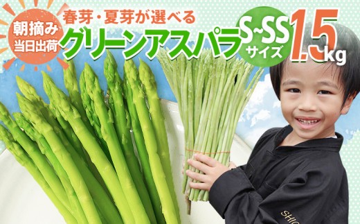 
            数量限定 アスパラ S～SSサイズ 1.5kg 選べる 春芽／夏芽　朝採り 朝採れ 直送 グリーンアスパラガス アスパラ　BT09 BT13 BT-S0006
          
