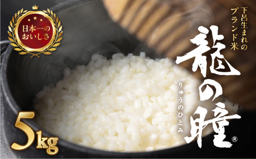 予約受付【2026年産米】（2027年1月発送）5kg×1袋 飛騨産・龍の瞳(いのちの壱) 株式会社龍の瞳直送 米 5キロ 令和8年産 精米 ブランド米 りゅうのひとみ 龍の瞳 下呂市 下呂温泉 竜の瞳 下呂