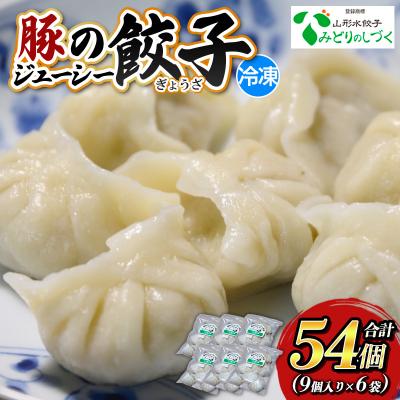 ふるさと納税 山形市 豚のジューシー餃子 9個入り×6袋(計54個) FY25-006