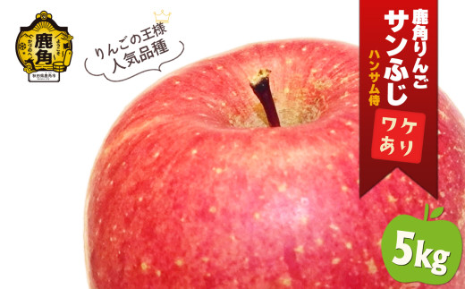 鹿角りんご 訳あり「サンふじ」約 5kg 【ハンサム侍】リンゴ 林檎 フルーツ グルメ ギフト 故郷 秋田 あきた 鹿角市 鹿角 送料無料