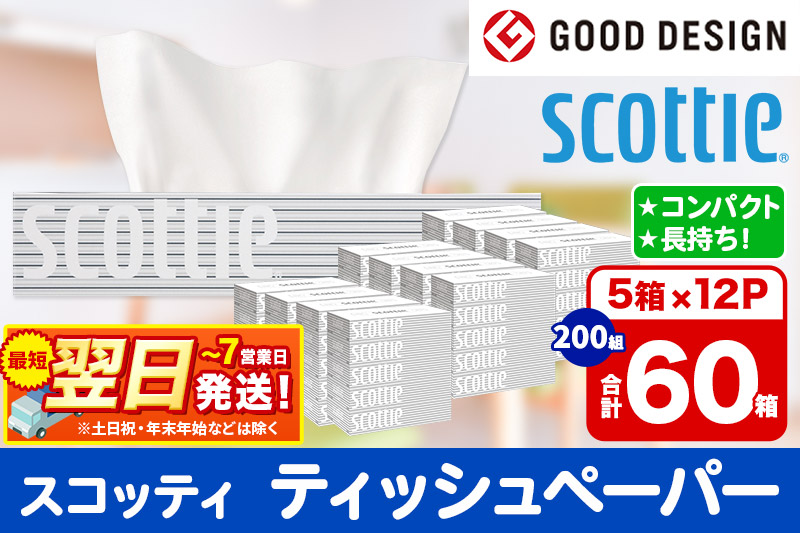 ティッシュペーパー スコッティ 200組 60箱(5箱×12パック) ティッシュ 日用品 最短翌日発送【レビューキャンペーン中】