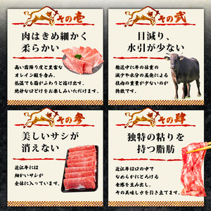 近江牛 焼肉用400g 焼肉