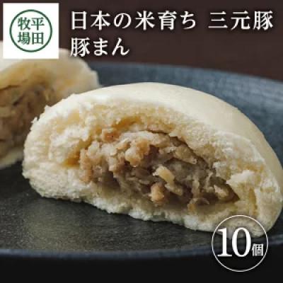 ふるさと納税 酒田市 日本の米育ち三元豚豚まん(100g)10個