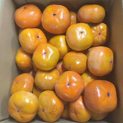 ふるさと納税 那智勝浦町 和歌山県産　柿　約5kg　秀品
