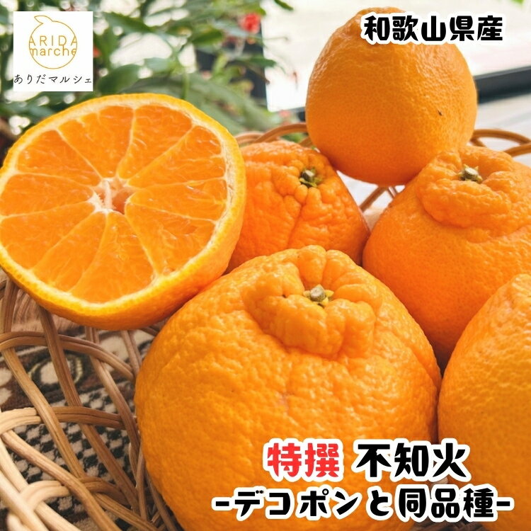 【ふるさと納税】 有田育ちの濃厚 不知火 ( デコポン と同品種)( 特選 ) / しらぬい みかん 甘い 和歌山 有田 柑橘 果物 フルーツ ※2027年1月下旬～3月下旬に順次発送 ※北海道・沖縄・その他離島地域は発送不可 //dekopon