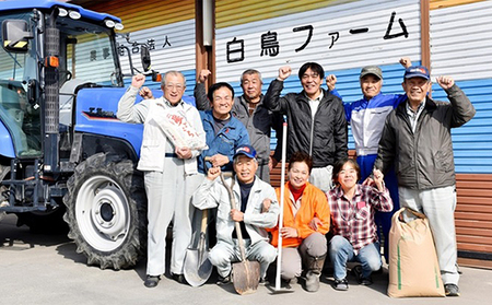 特別栽培米★精米10kg（白米/5分/7分ツキ可）【コシヒカリ】 玄米は別に出品 5分ヅキ